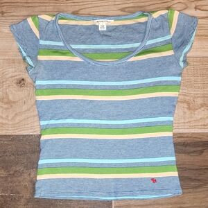 Vintage A&F Striped Crop Top